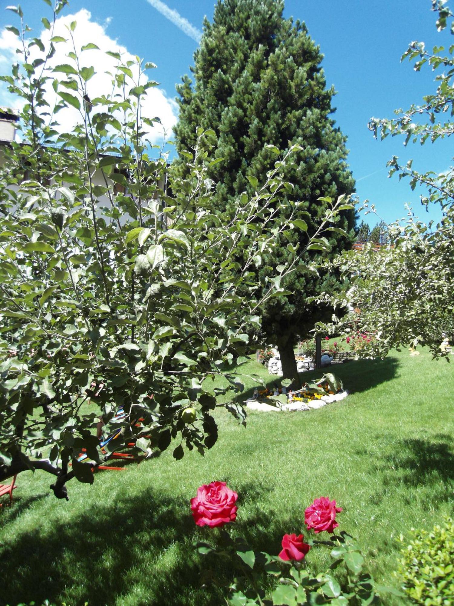 Hotel L'Ideale Moena Εξωτερικό φωτογραφία
